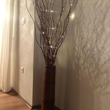 Villa House Anica