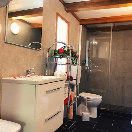 House Anica * Ledenice
